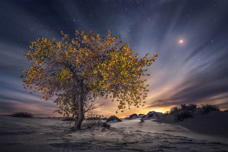 Wayne Suggs WHITE SANDS MOONRISE