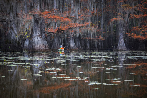 Bayou Dreams -Dusty Doddridge 1