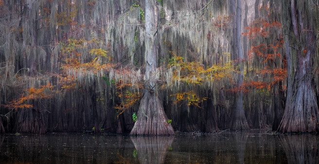 Bayou Dreams -Dusty Doddridge 5