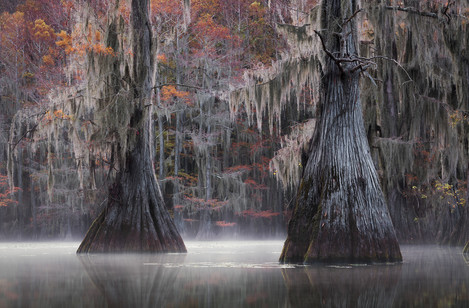 Bayou Dreams -Dusty Doddridge 7