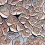 Desert Dots, Death Valley National Park, California. Mud cracks with circular impressions create a fun abstract pattern on the desert floor.