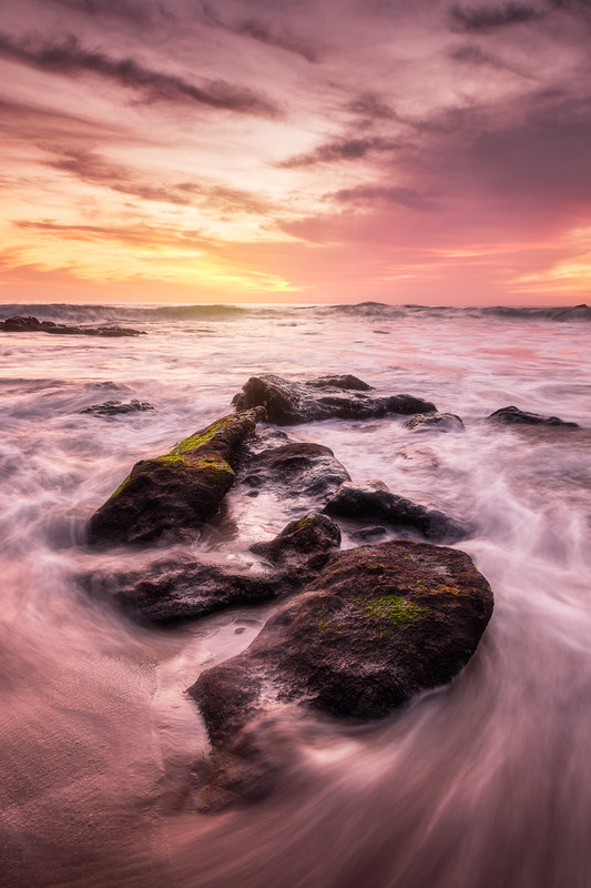 Kevin Nelson Moss Point Sunset