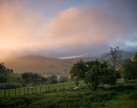 Sunrise And Hill Fog, Coed Cwningar