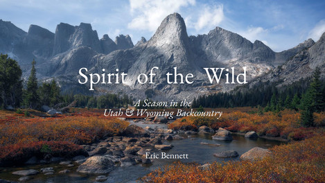 Spirit Of The Wild