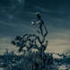 Greg Piazza Joshua Tree Reaching