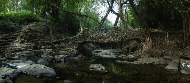 Himadri Bhuyan Riwai Pano