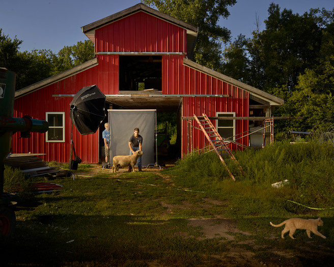 David With Sheep And Grandpa, Pastoral Study, 2020