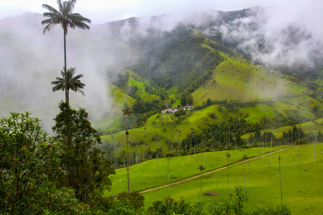 6 Trip Colombia