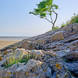 On The Coast At Silverdale