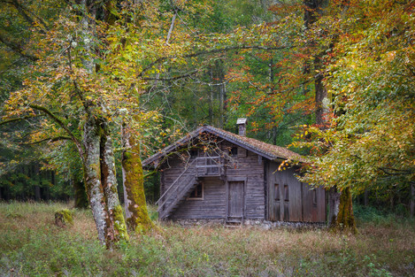 Konigssee Cottage In The Woods