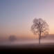 Misty Sunrise St Coloman