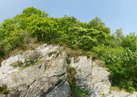 Cnewton Bluey Tree Rocks Copy