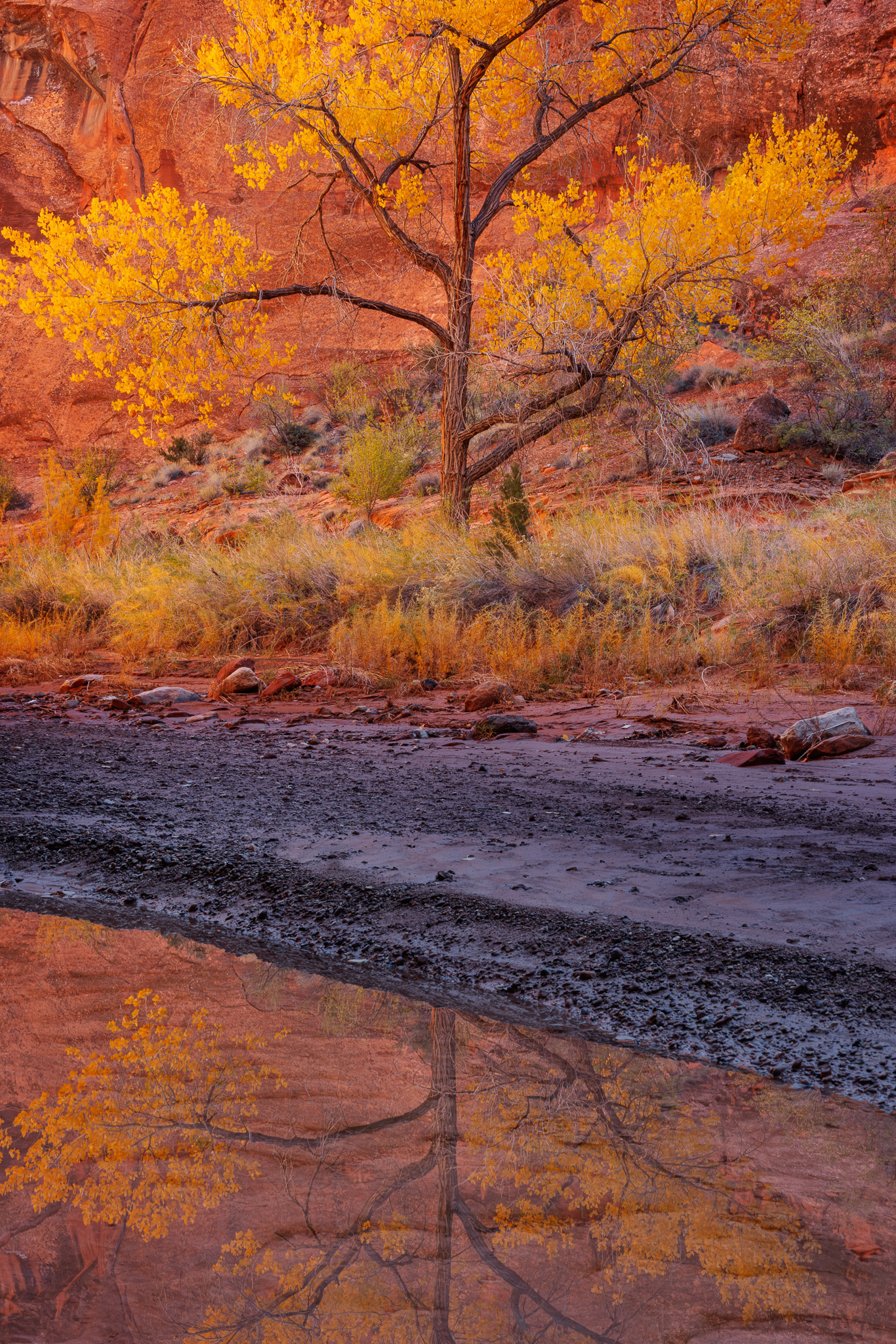 Guy Tal The Art And The Artist 7