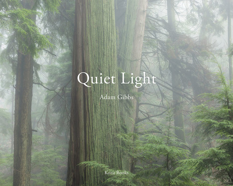 Quiet Light 3rd