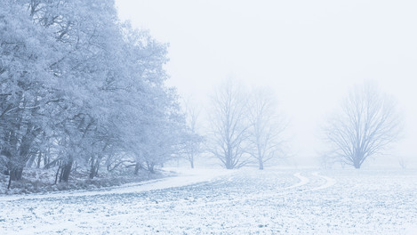 Winter Panorama