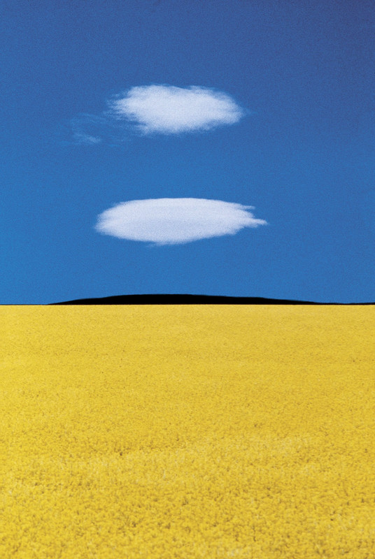 Puglia, Italy (1978) Franco Fontana