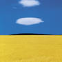 Puglia, Italy (1978) Franco Fontana