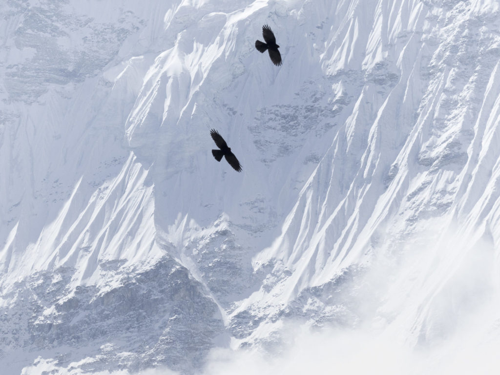 Julien Fumard Nepal 024