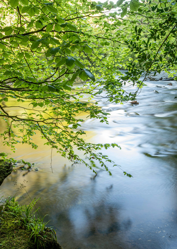 Mark Burley Downstream