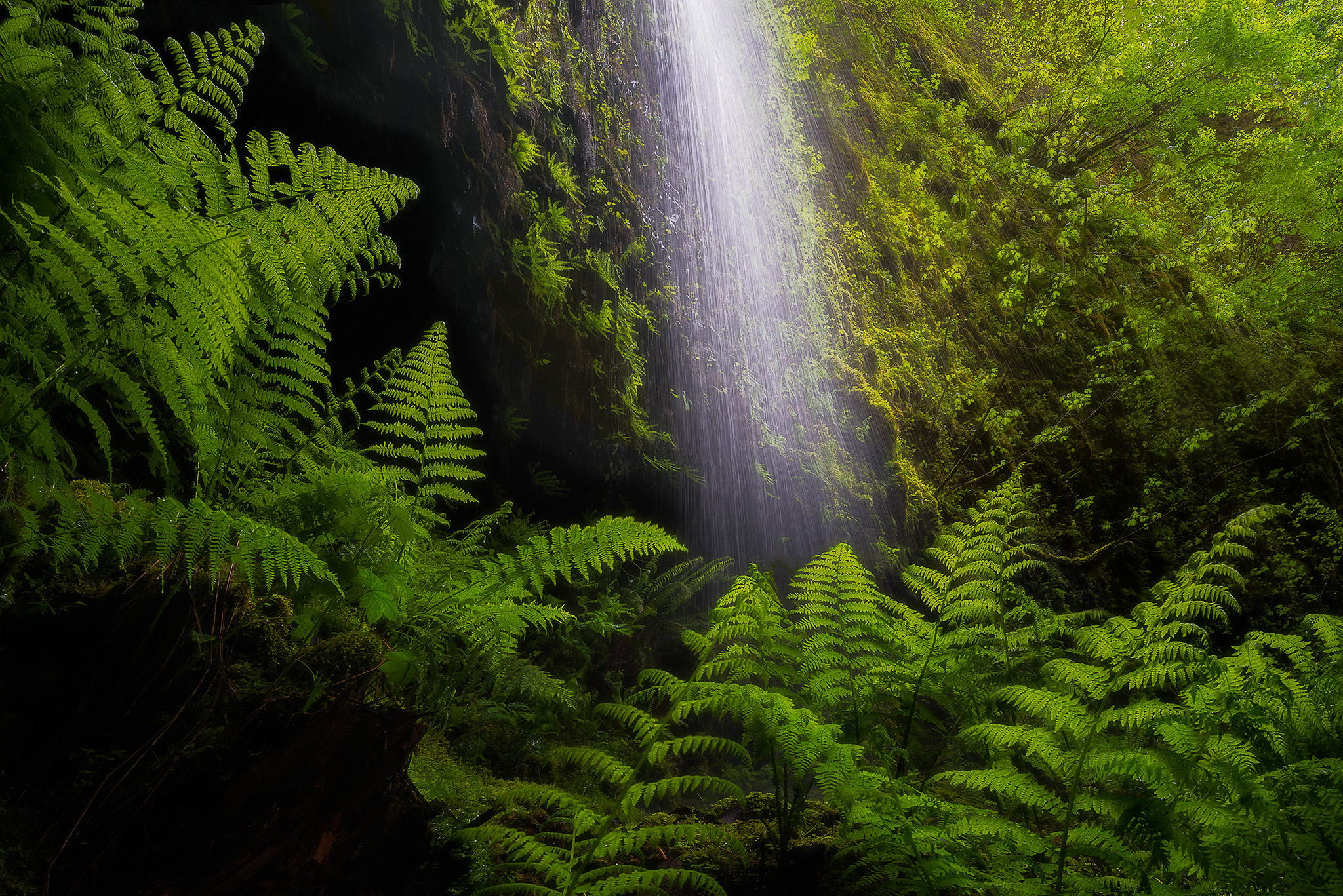 Embracing The Light 2048 Copy