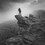 Joe Cornish