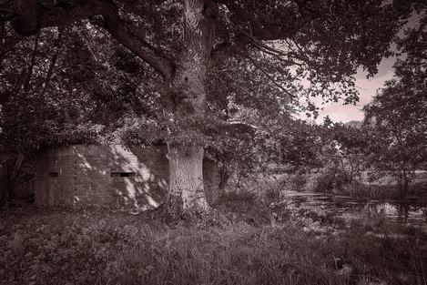 Overgrown Pillbox