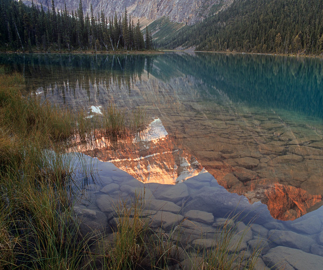 06 Mount Edith Cavell Reflected In Cavell Lake, Jasper National Park, Alberta, Canada