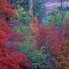 08 Layers Of Color, Autumn In Zion National Park