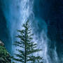 12 Bridalveil Fall With Pine Tree, Yosemite National Park