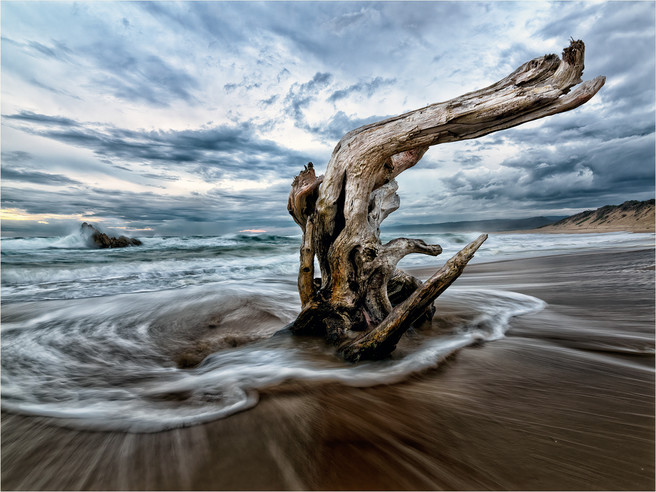 Drift Wood At Stormy Sunset Des Kleineibst