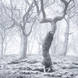 Winter Clothing | Joe Cornish