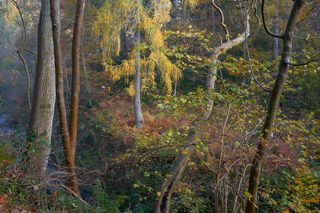 The Search For Beauty | Joe Cornish