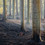 No Smoke Without Fire | Joe Cornish