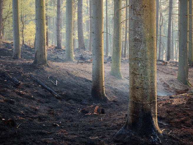 No Smoke Without Fire | Joe Cornish