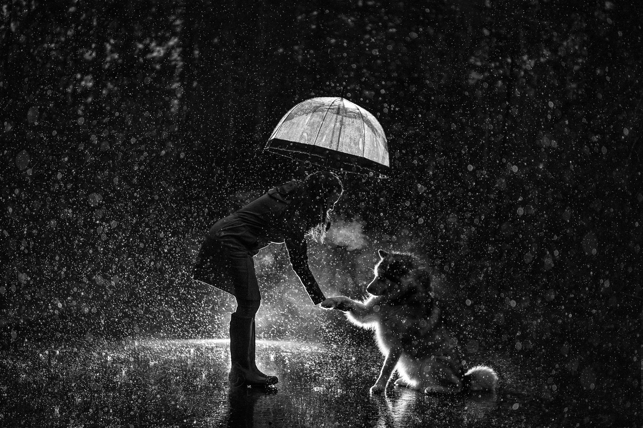 Dsc2273rain Copy2048matt