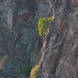 Xavier Arnau Bofarull Red Cliffs 6