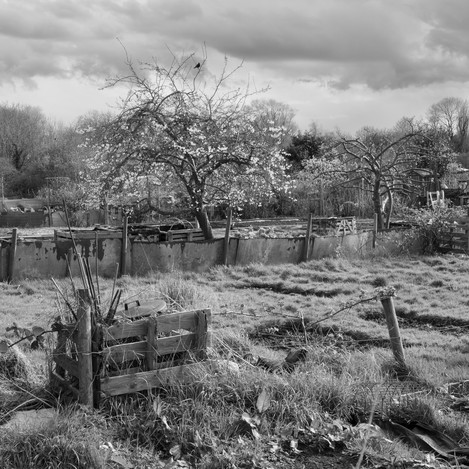 Allotments 02