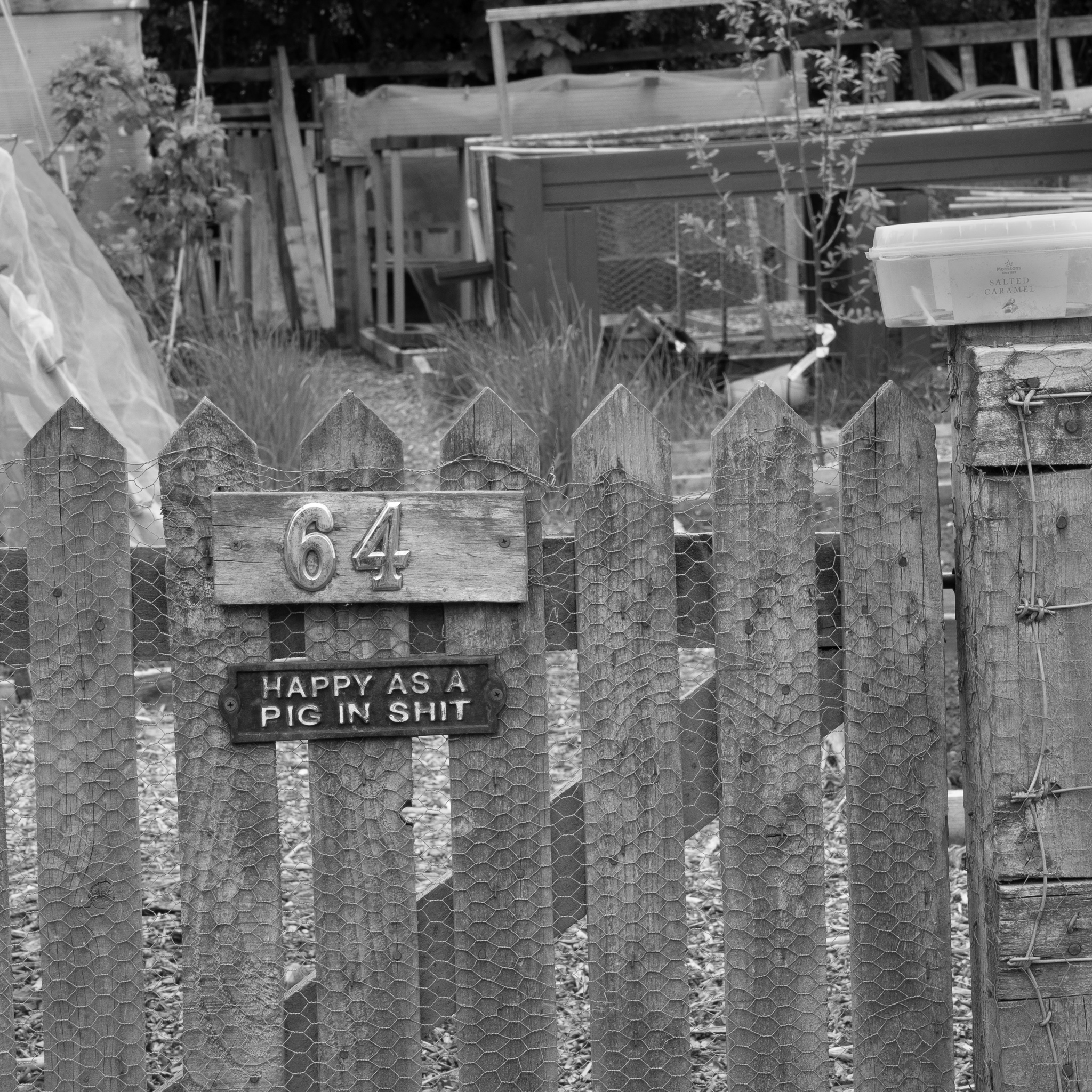 Allotments 05 On Landscape