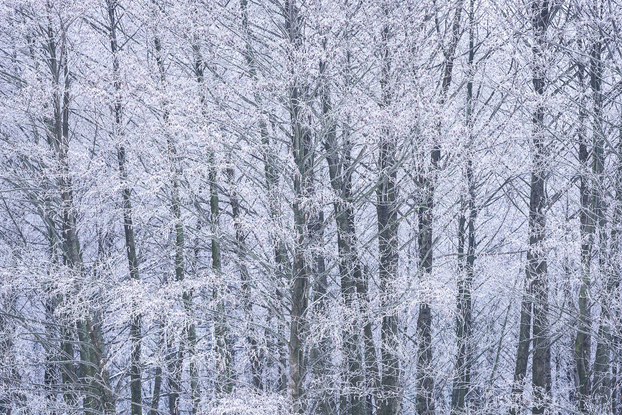 Brentgoesoutside Heaven Freezes Over