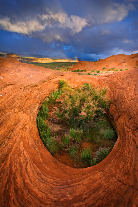 Nest Of The Thunderbird