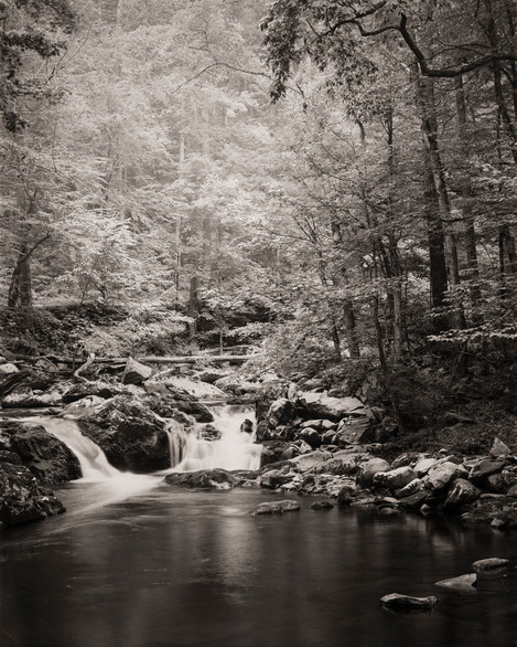 Cody Schultz Waterfall And Fog