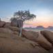 Damaraland Dawn