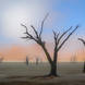 Deadvlei Misty Panorama Final