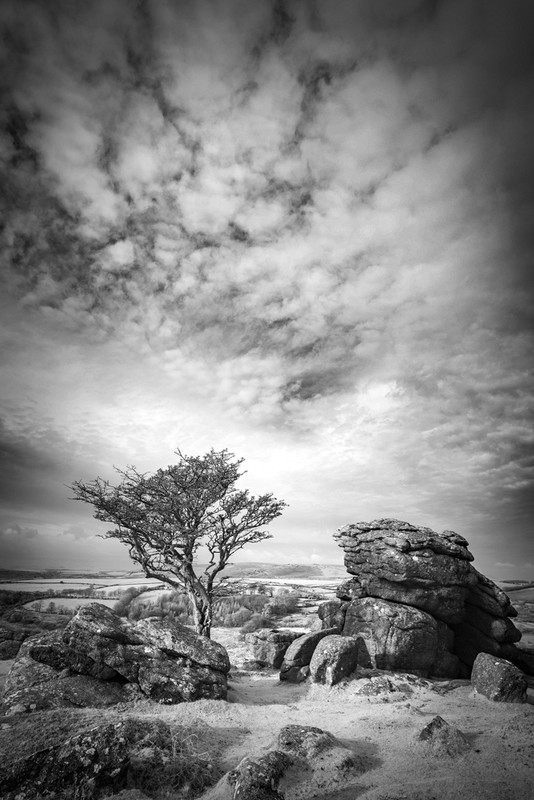 Emsworthy Tor