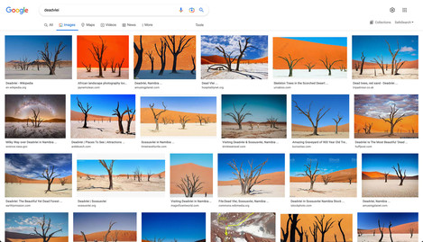 Gogle Deadvlei