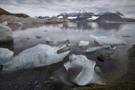 Gnalodden Hornsund