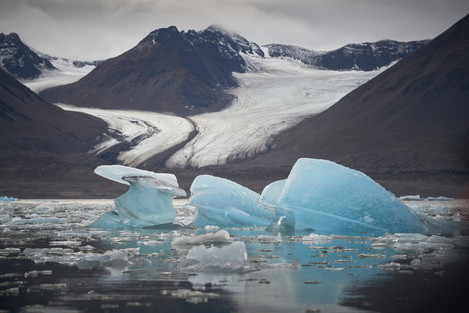 Kronebreen Kongsvegen