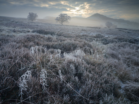 Hawnby Moor Hoar Frost