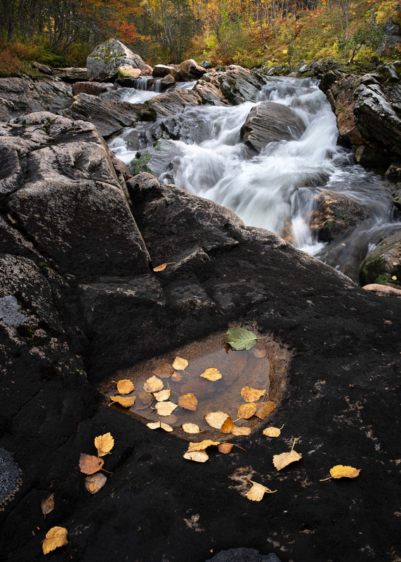 09 Panning For Gold