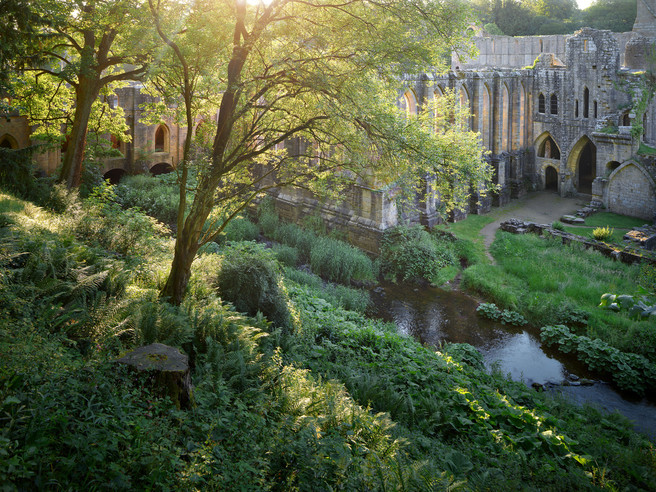 Riverbank And Ruins